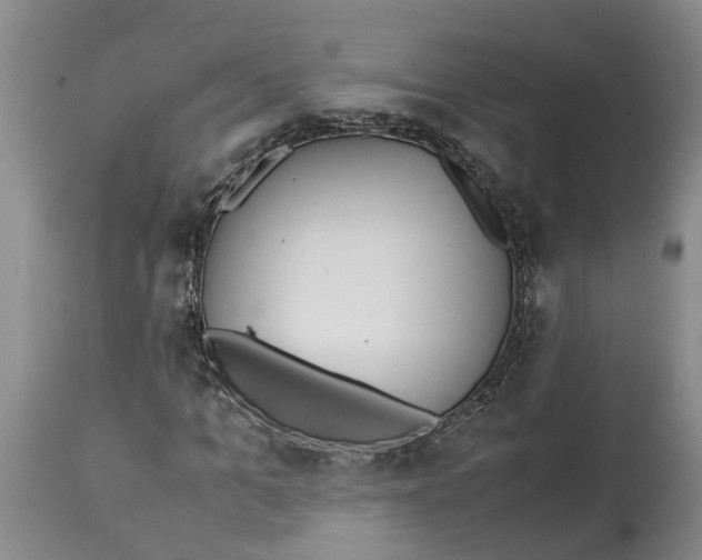 X0000114170965200911051524