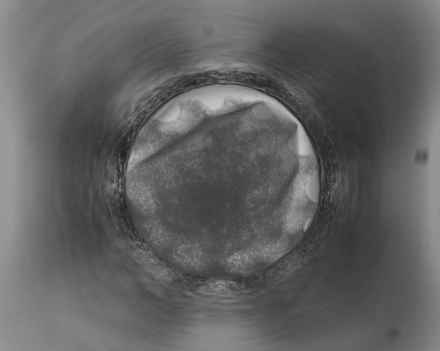 X0000114170966200911051524