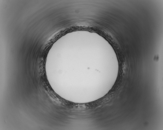 X0000114170968200911051524