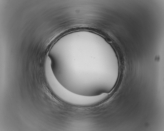 X0000114170969200911051524