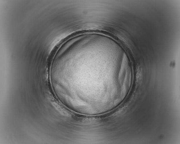 X0000114170973200911051524