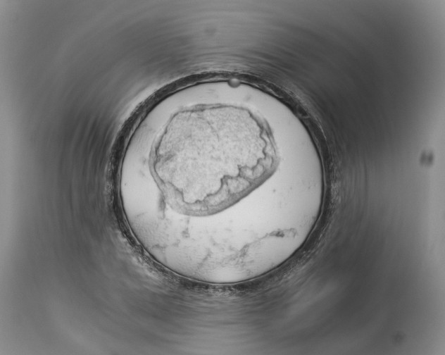 X0000114170975200911051523