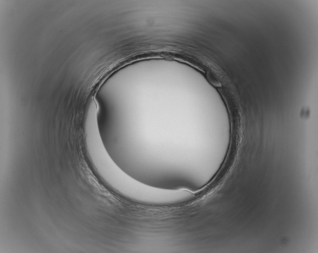 X0000114170977200911051523