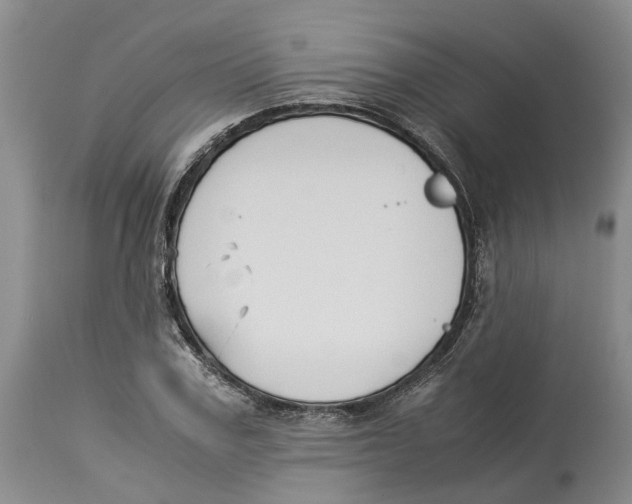 X0000114170979200911051523