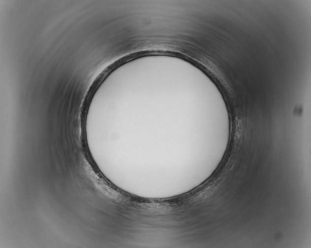 X0000114170980200911051523