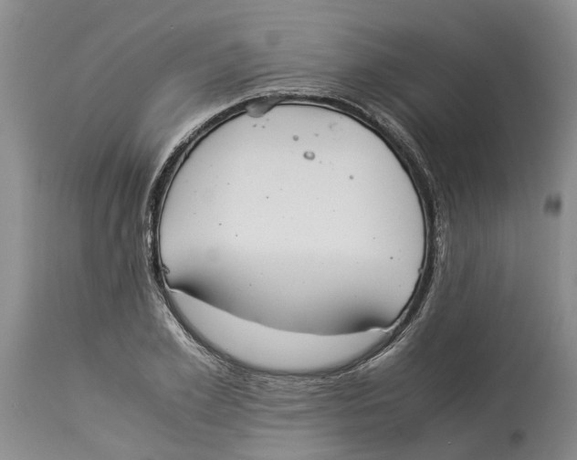 X0000114170981200911051523