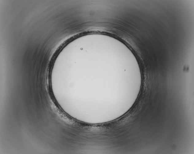 X0000114170984200911051523