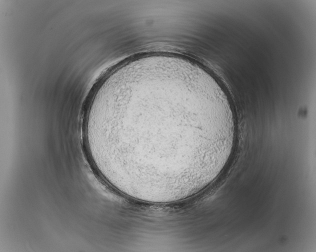 X0000114170987200911051523