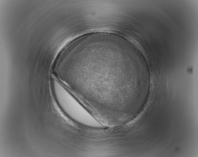 X0000114170989200911051523