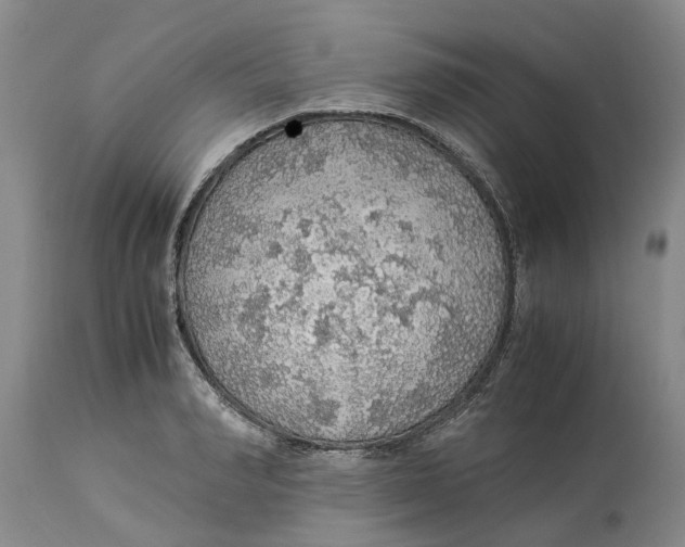 X0000114170990200911051523