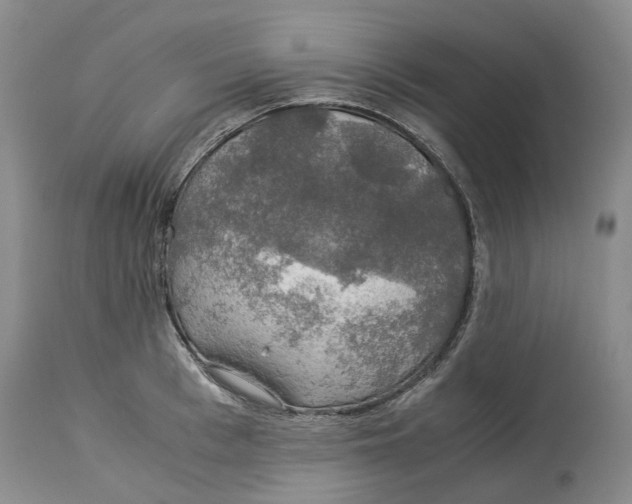 X0000114170993200911051523