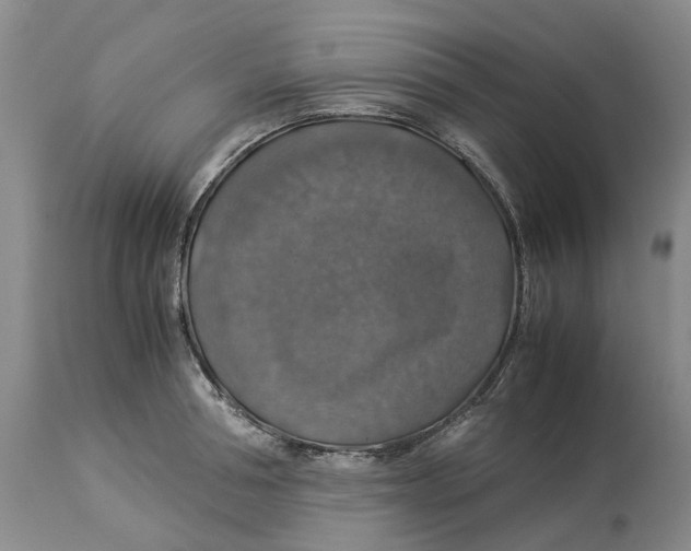 X0000114170994200911051523