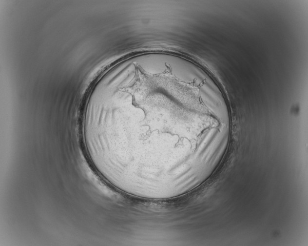 X0000114170995200911051523