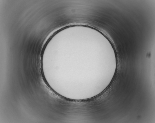 X0000114170996200911051523