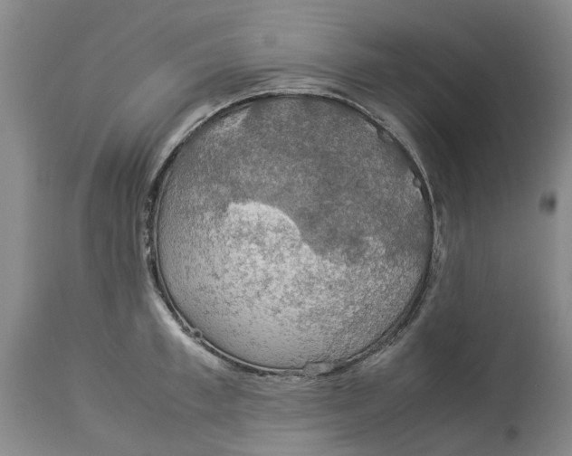 X0000114170997200911051523