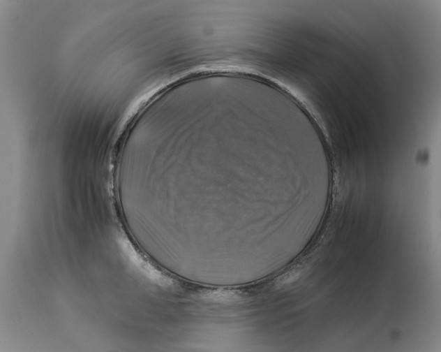 X0000114170998200911051523