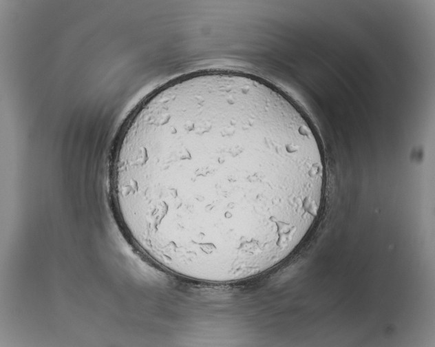 X0000114170999200911051523