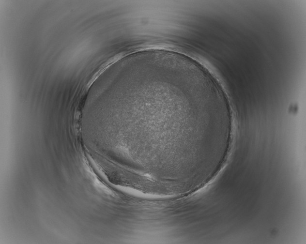 X0000114171001200911051523