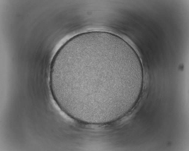 X0000114171005200911051523