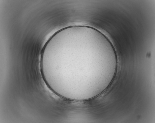 X0000114171006200911051523