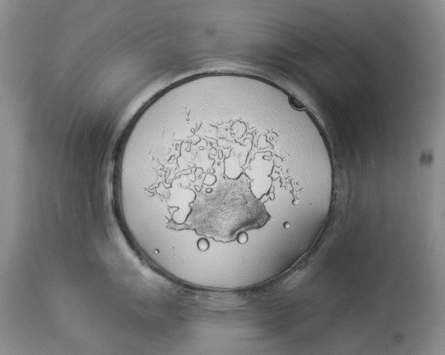 X0000114171007200911051523