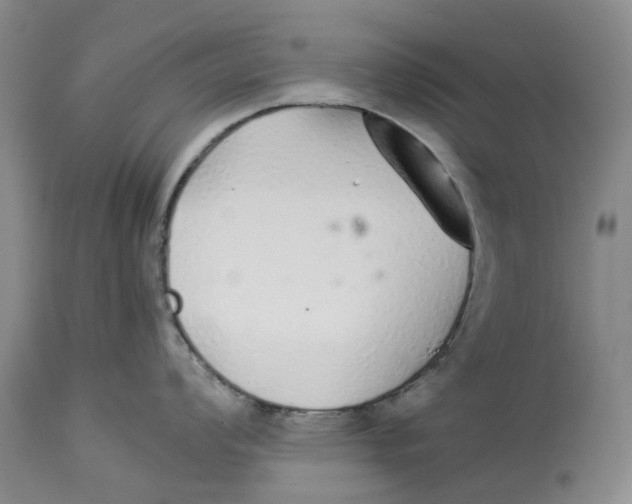 X0000114171008200911051523