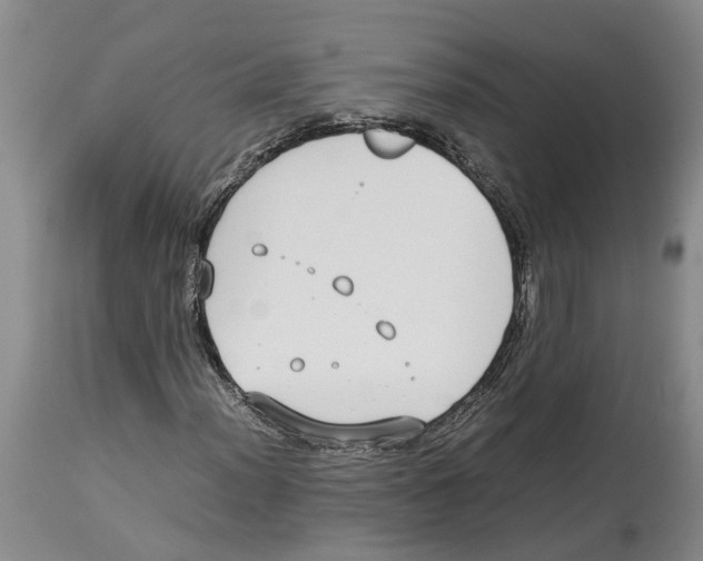 X0000114171012200911051522