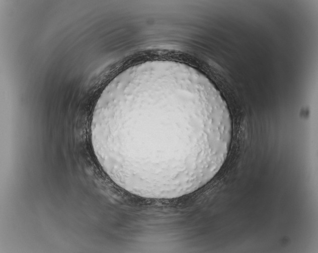 X0000114171014200911051522