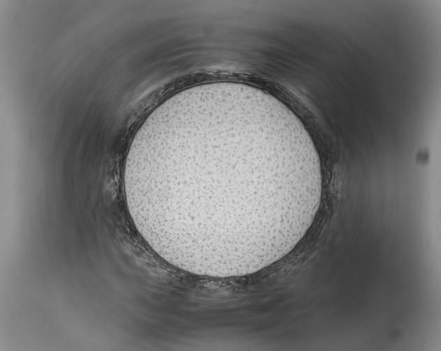 X0000114171015200911051522