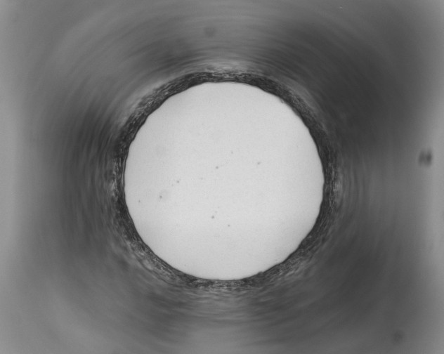 X0000114171016200911051522