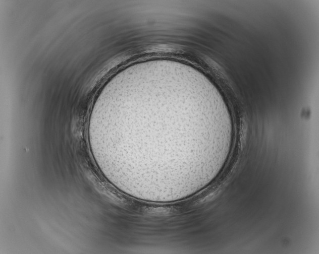 X0000114171017200911051522