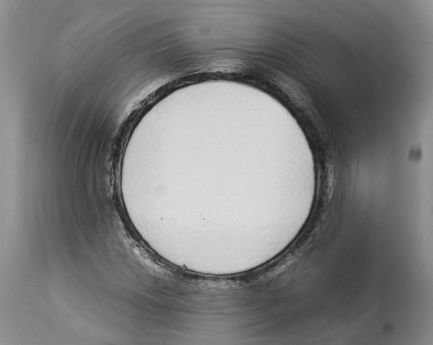 X0000114171018200911051522