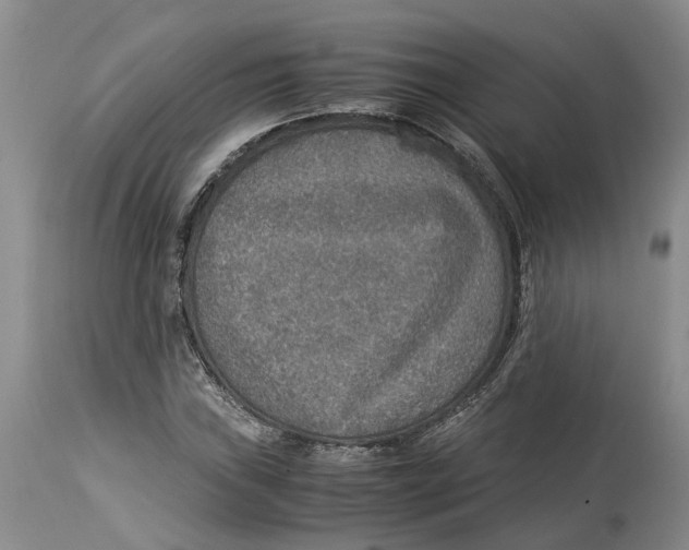 X0000114171019200911051522