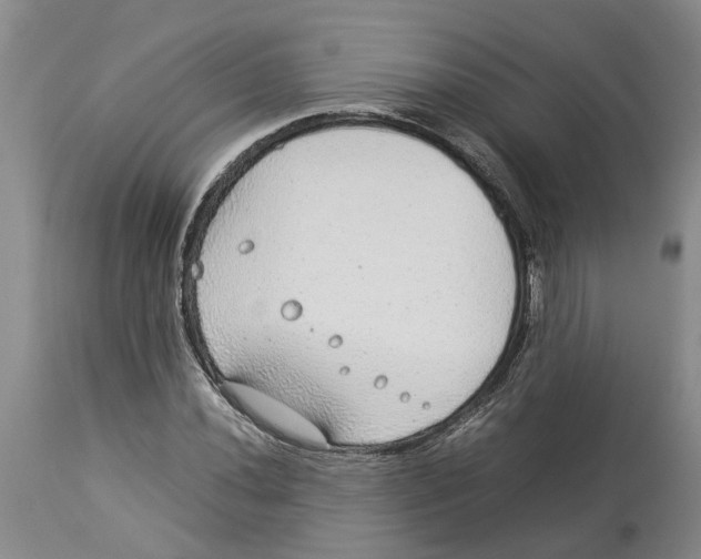 X0000114171020200911051523