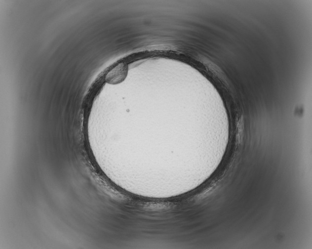 X0000114171021200911051523