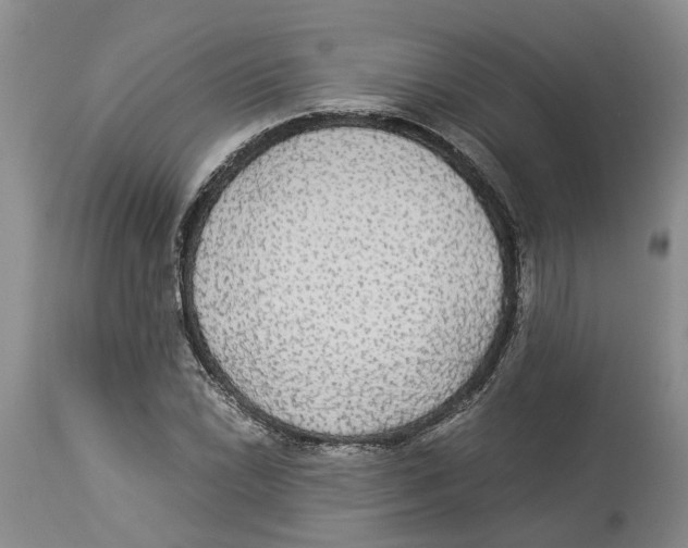 X0000114171022200911051523