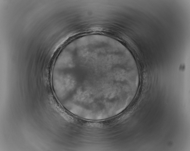 X0000114171023200911051523