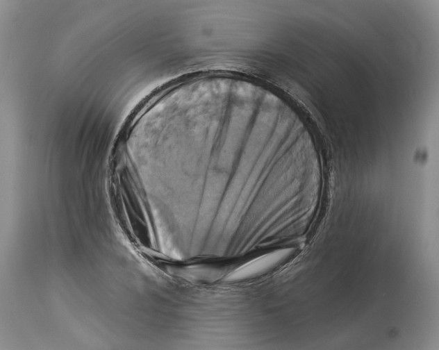 X0000114171024200911051523