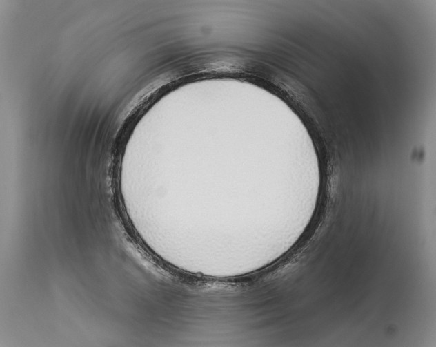 X0000114171026200911051523