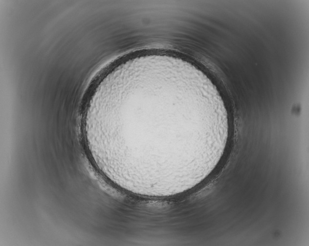 X0000114171029200911051523