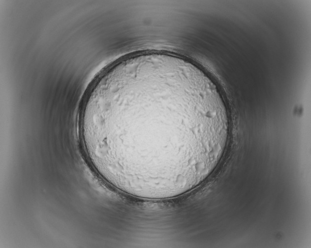 X0000114171032200911051523