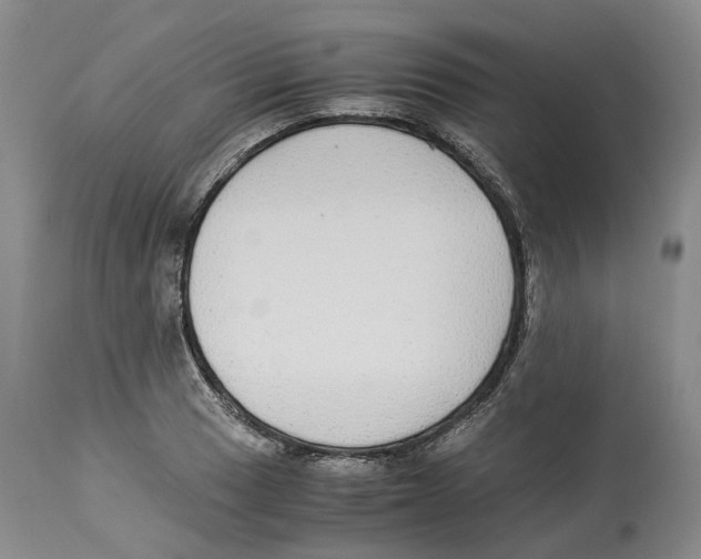 X0000114171033200911051523