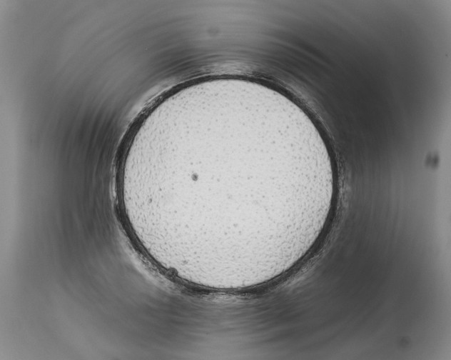 X0000114171034200911051523