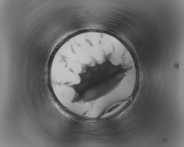 X0000114171037200911051523