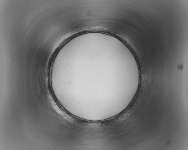 X0000114171038200911051523