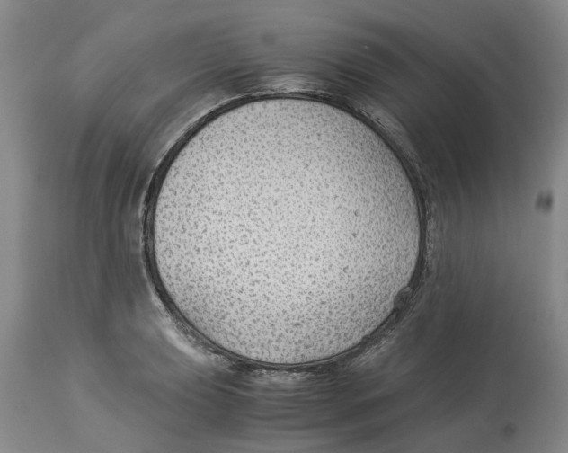 X0000114171039200911051523