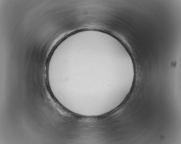 X0000114171040200911051523