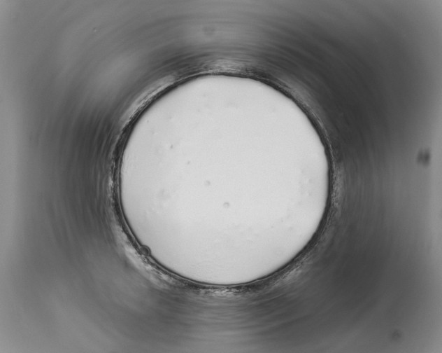 X0000114171042200911051523