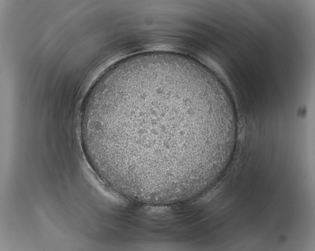 X0000114171043200911051523