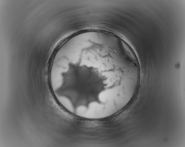 X0000114171045200911051523